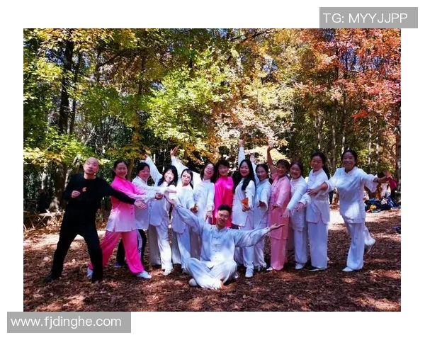 冰岛与北爱决战结果揭晓精彩瞬间回顾与分析