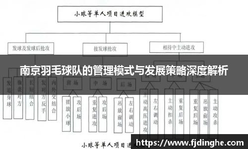 南京羽毛球队的管理模式与发展策略深度解析